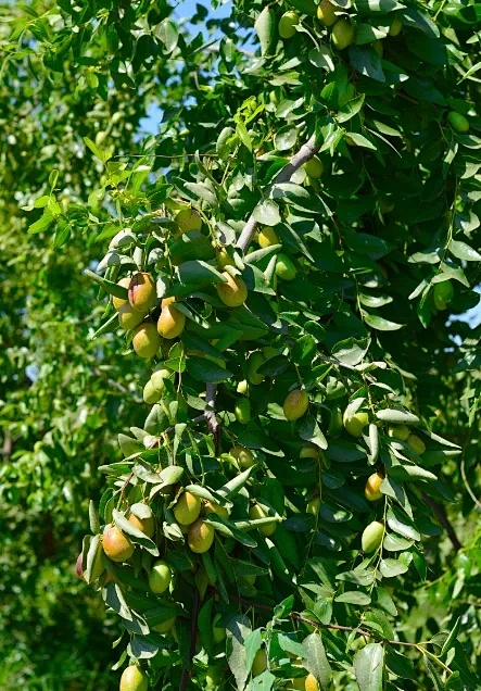 2021十大顶级护肤品排行榜,大牌护肤品成分表推荐