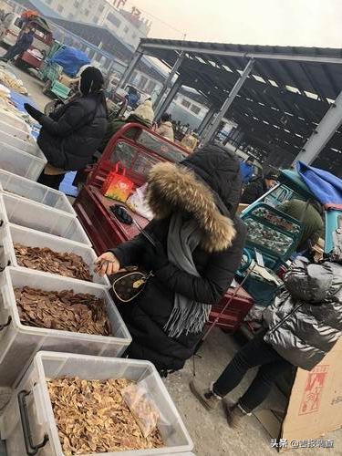 抚松万良人参批发市场在哪里,抚松万良人参市场直播