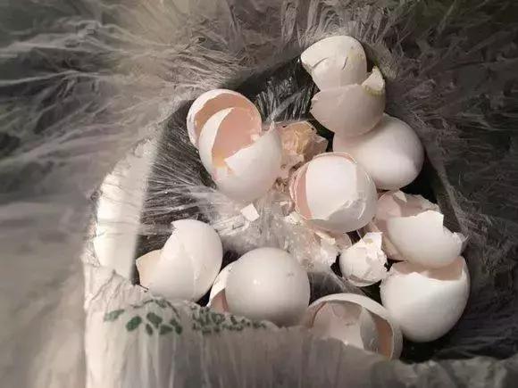 养花的盆要不要戳些洞,养花小知识小技巧大全图解