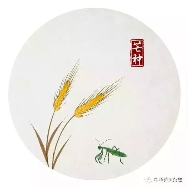 端午祭忠魂七律,端午祭忠魂诗词