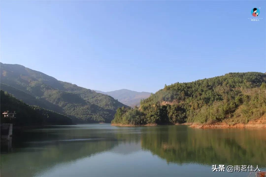 冰岛五寨糯五价格,冰岛五寨谁最有性价比