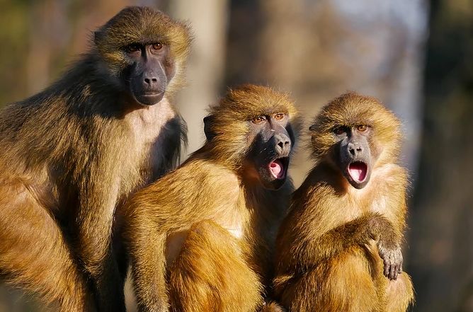 稳健理财会跌到什么时候,稳健理财策略