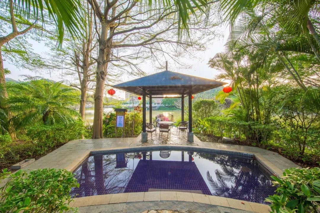 深圳周边泡温泉去哪个最好,深圳周边的温泉推荐