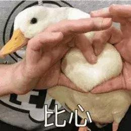 十一月ECA｜ThanksgivingParty盛大预告