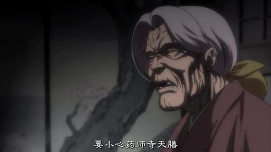 甲贺法忍帖忍实力,甲贺忍法贴法天善有没有得逞