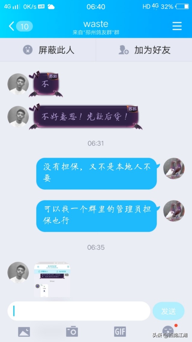 养鸽子是不是骗局,养鸽人买来的教训