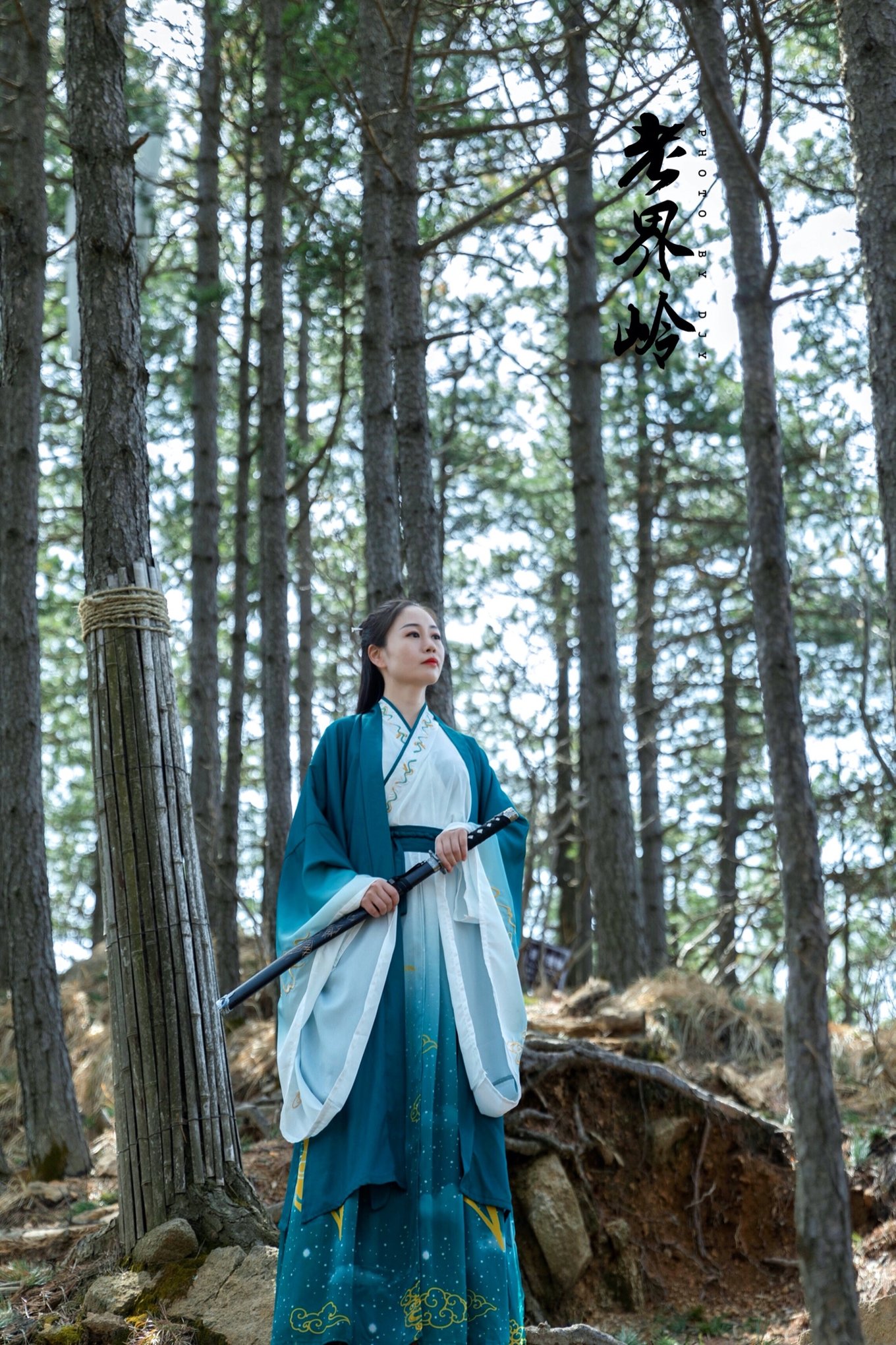 游览老界岭的感悟,河南老界岭景区