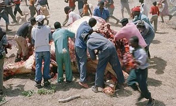 一个家家都是“亿元户”的非洲穷国——津巴布韦