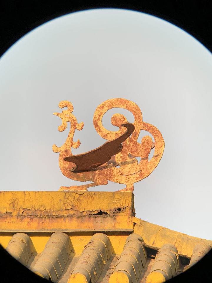 森林人单筒手机望远镜测试,iphonexr手机望远镜