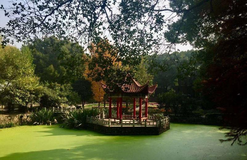 最能让人心静的旅游景点,国内能让人心静的地方