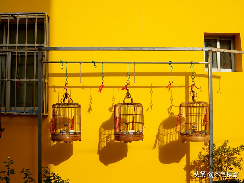 鍩庡競琛楄鎽勫奖,琛楄鎽勫奖娆h祻