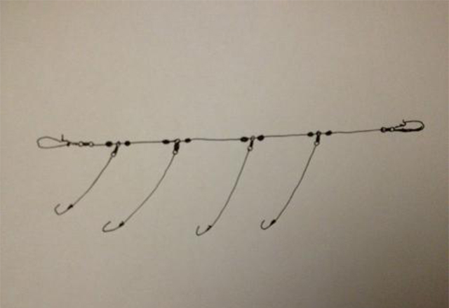 新手钓鱼有福利吗,新手钓鱼福利