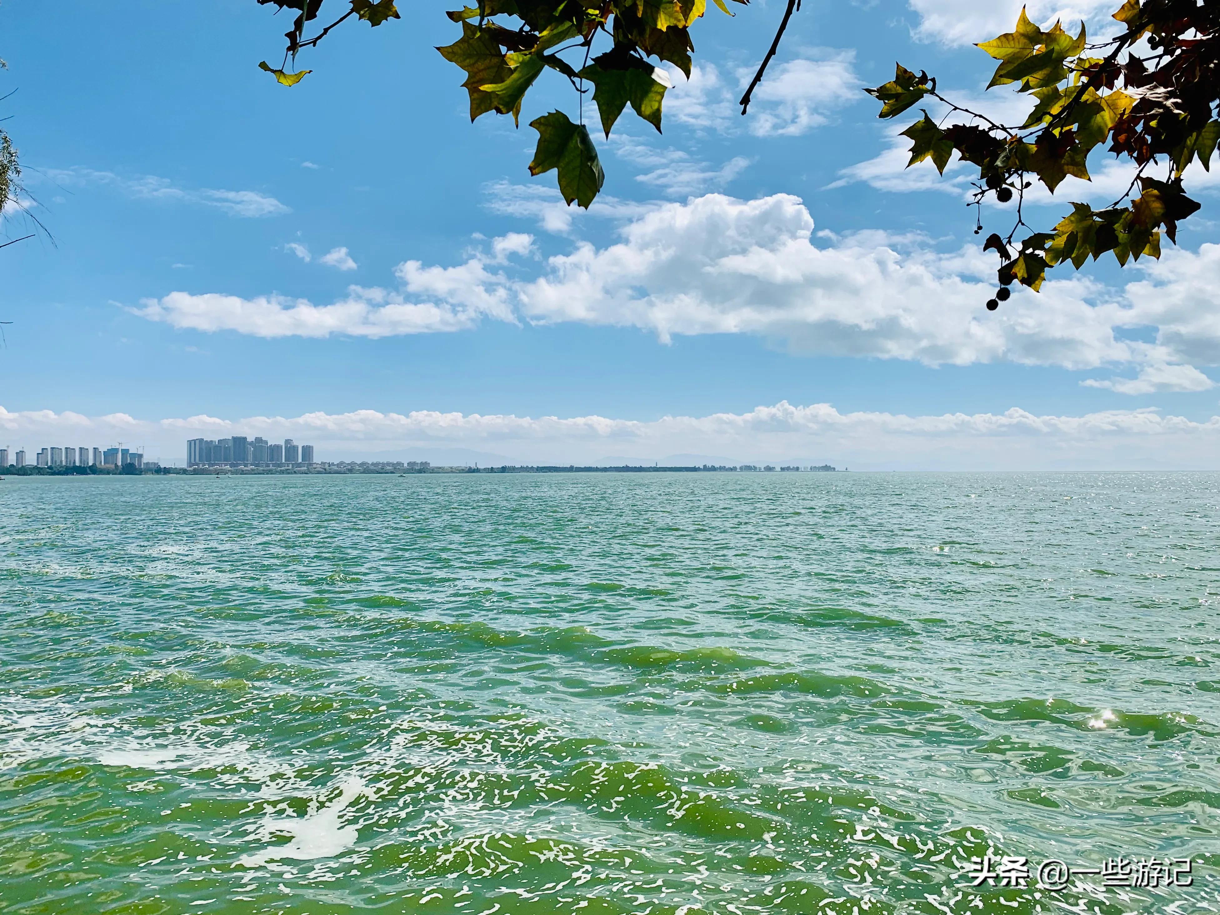 昆明滇池海埂公园一日游攻略,五百里滇池海埂公园图片