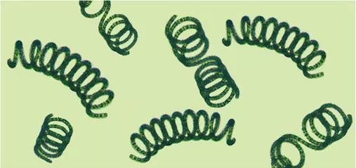 日本核泄漏事故有什么危害,日本核辐射泄漏会造成什么
