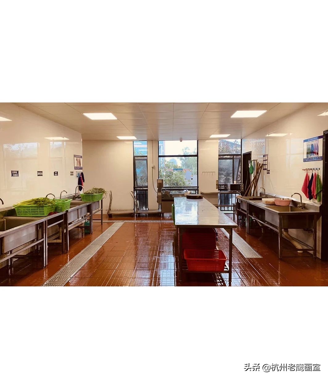 老鹰画室今年成绩怎么样,老鹰画室适合什么样的学生