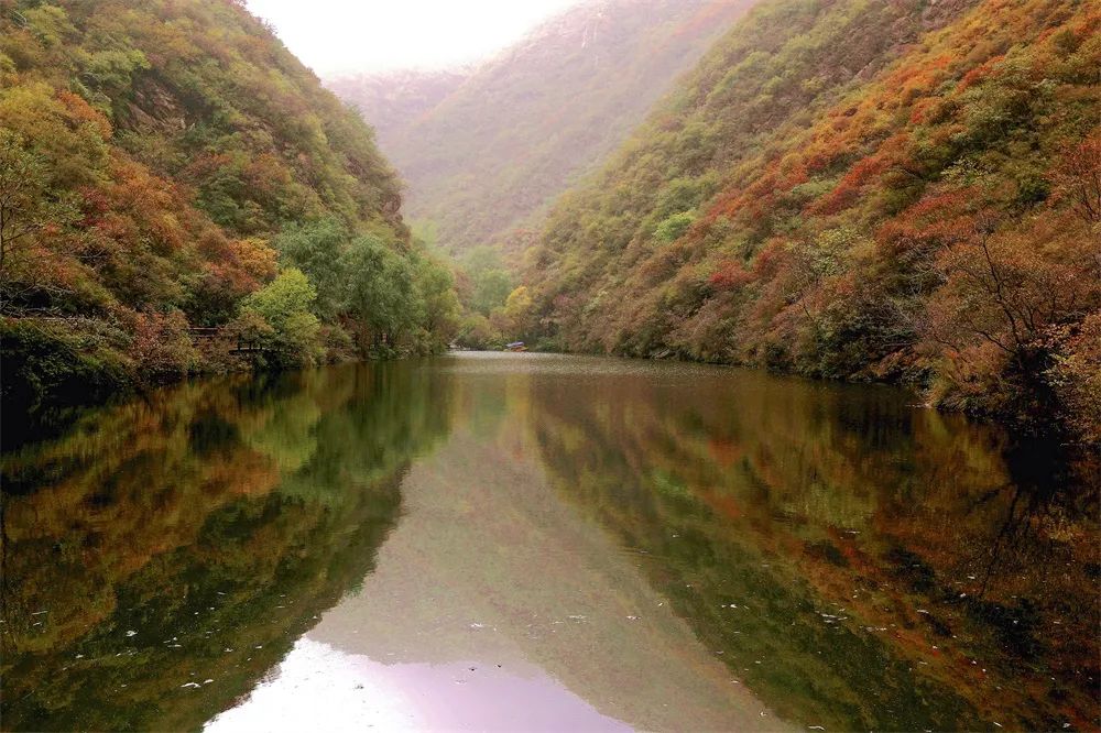 灏忎節瀵ㄥ弻榫欏场,浜タ灏忎節瀵ㄥ弻榫欏场