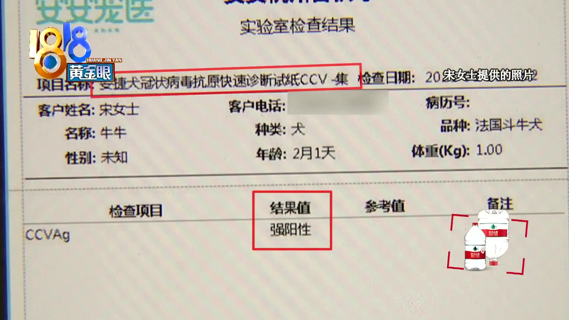 刚买回来小狗两天不吃怎么回事,三个月大的小狗惨遭毒手