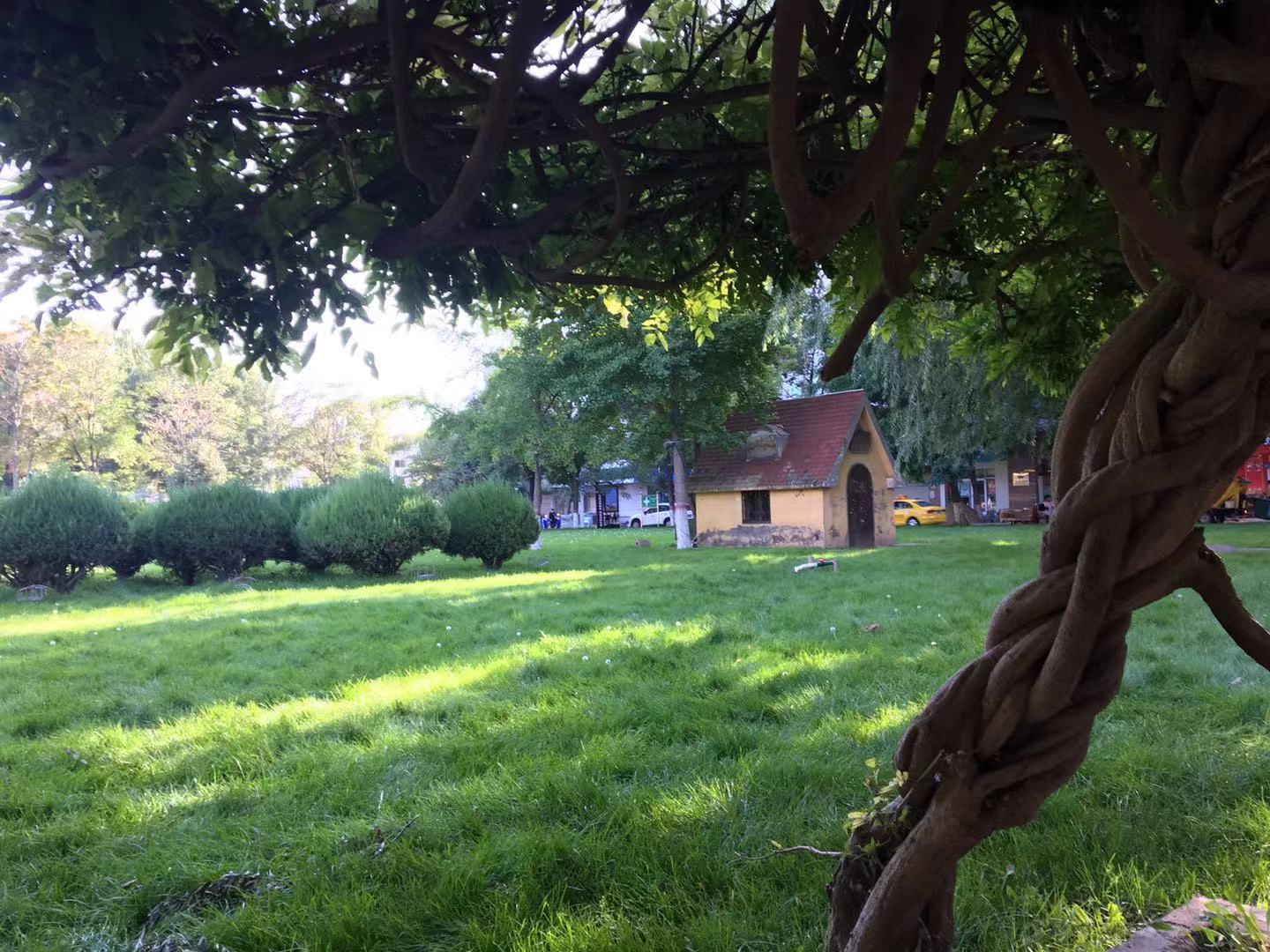 宁夏慢节奏生活,宁夏中卫是什么级别的城市