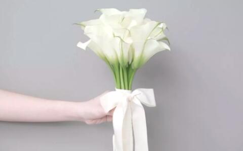 十二星座该送什么花,给十二星座送什么花最适合