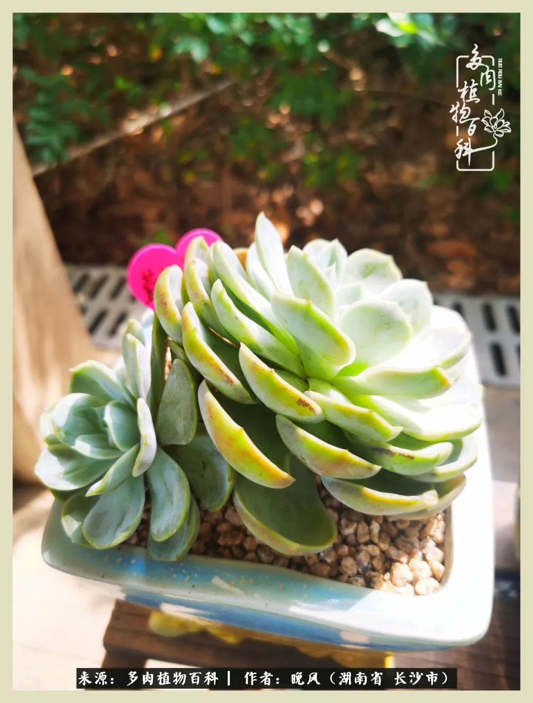 摇身一变成了奶爸,摇身一变成为打工人