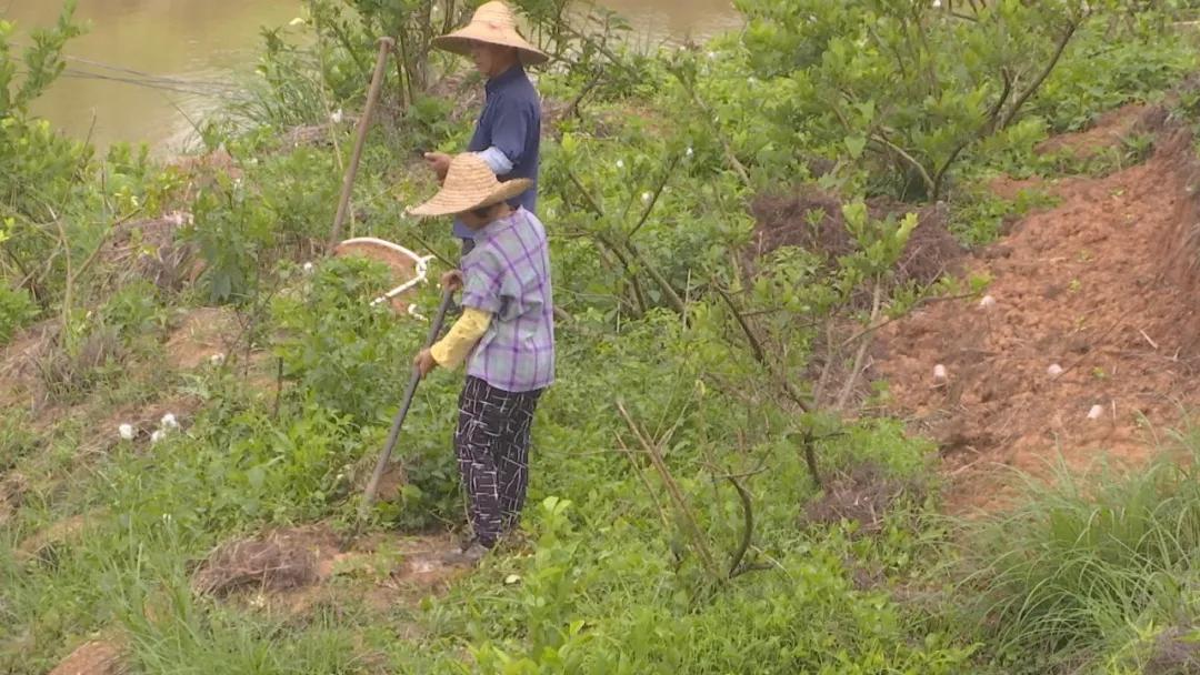 妇联创业资金,妇联扶持妇女创业基金项目洽谈