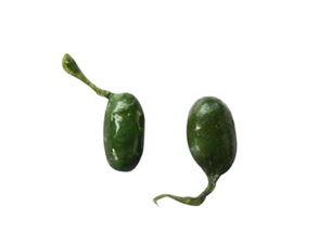 生吃蛇胆有哪些危害,生吃蛇胆的危害