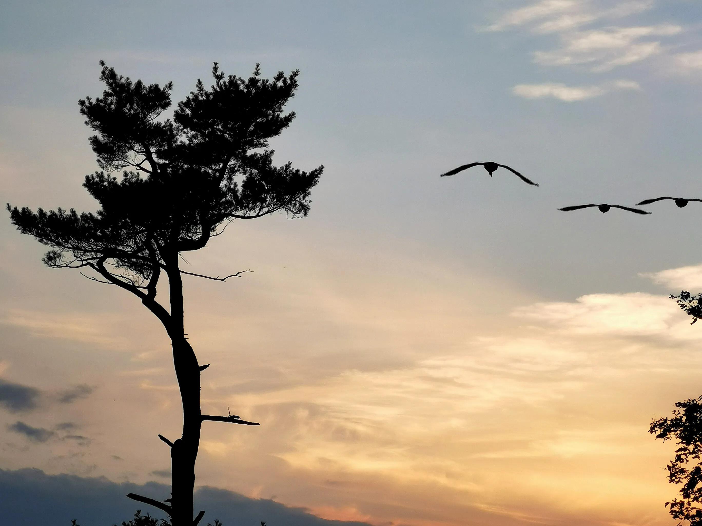 手机摄影手册圈友作品选第5期,手拍世界摄影交流平台