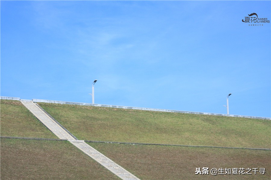 东湖公园菊花展今天还有开放吗,深圳东湖公园菊花展图片