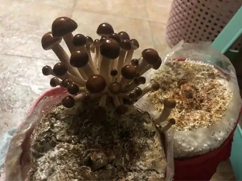 从种植到生长,从播种到收获慢慢来