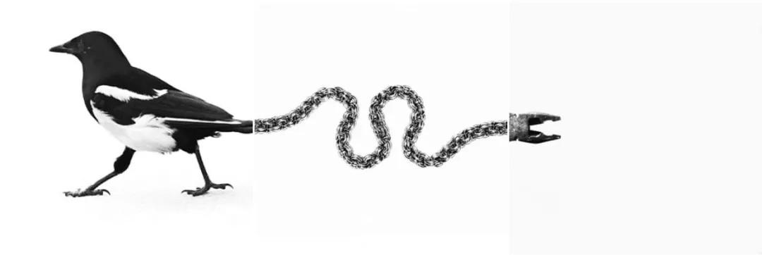 晒一晒九宫格图片,怎么晒九宫格