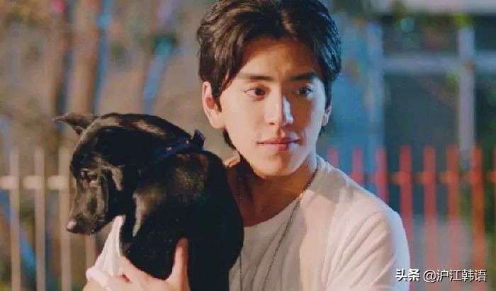 韩国女生最想恋爱的中国男星！出口成功，今年榜单大变唯独他不变