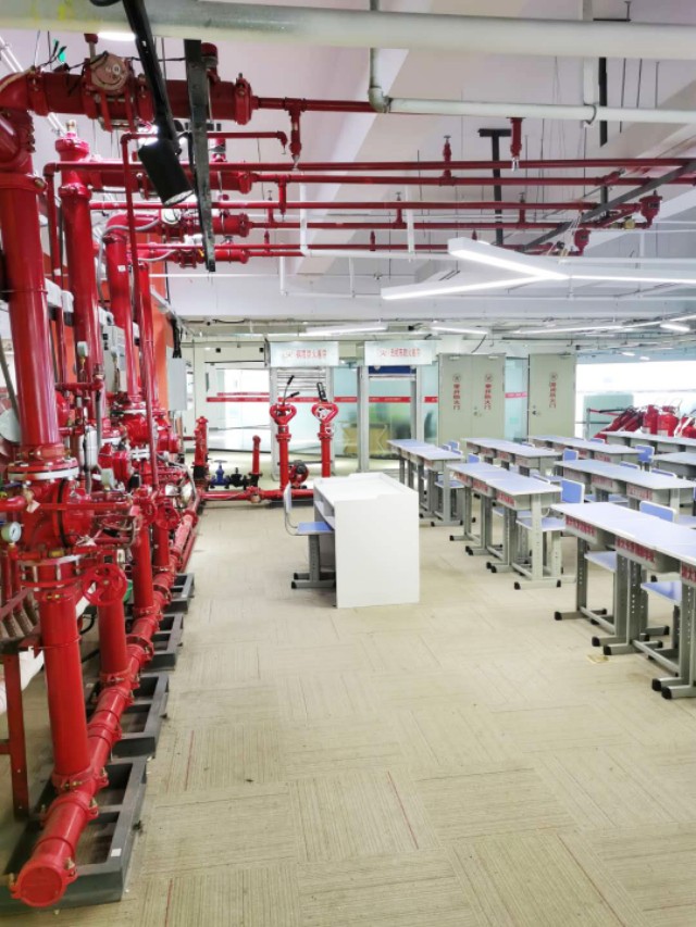 青岛德利丰职业培训学校宠物美容,山东青岛德利丰职业培训学校