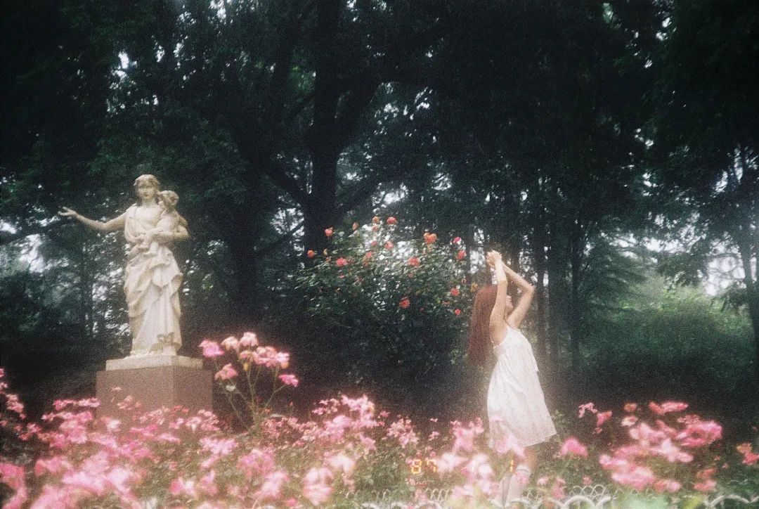 人气最高的女性写真,好看的女生写真推荐
