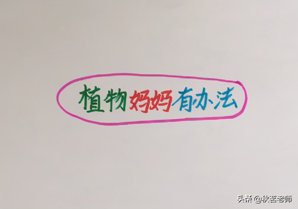 二年级植物妈妈有办法的思维导图,植物妈妈有办法课文思维导图