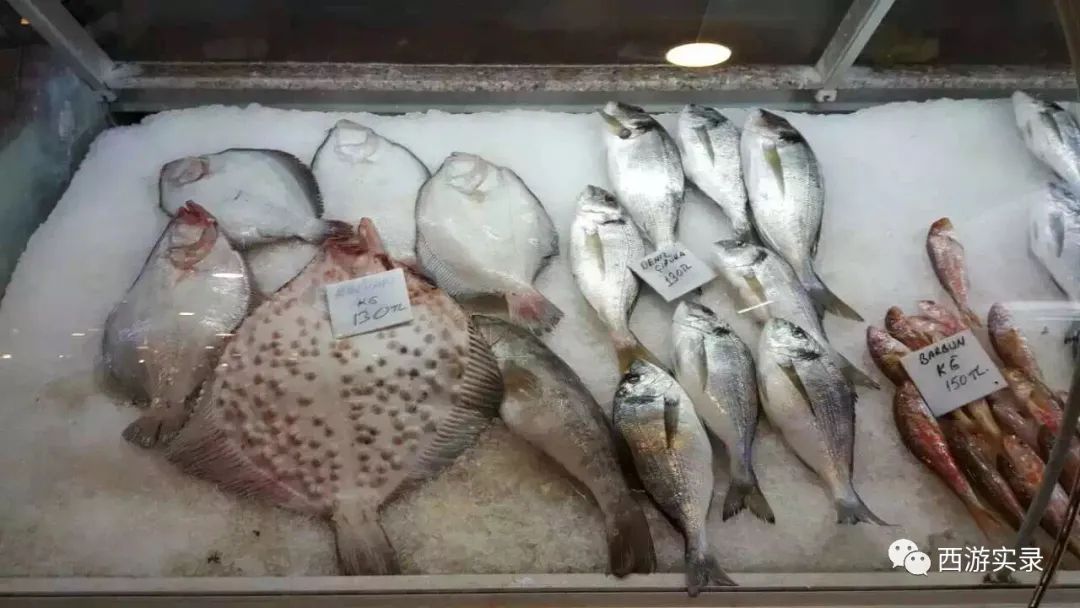 她的伊朗心上人委婉拒绝了她