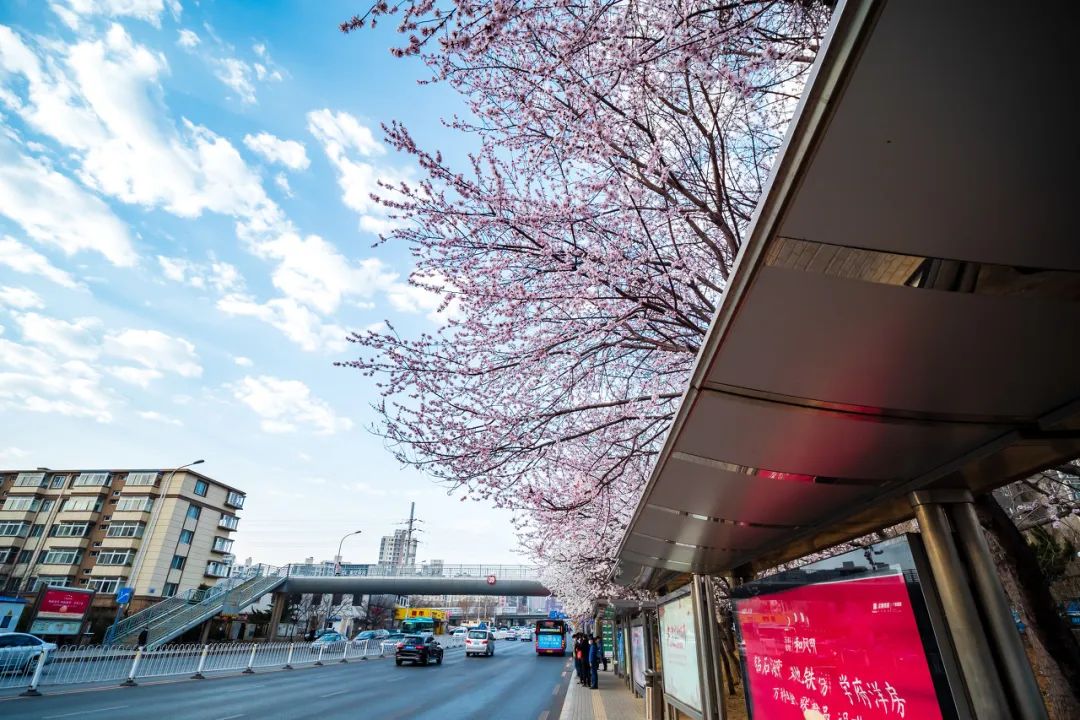 美过三亚!比厦门浪漫!中国这座海滨老城,去一次相当于环游世界