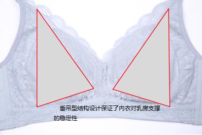 怎么选择调整型的内衣？用泰女神示例怎么选择有调整功效的内衣