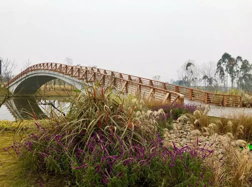 成都值得去的免费景点,成都景点小众游乐场