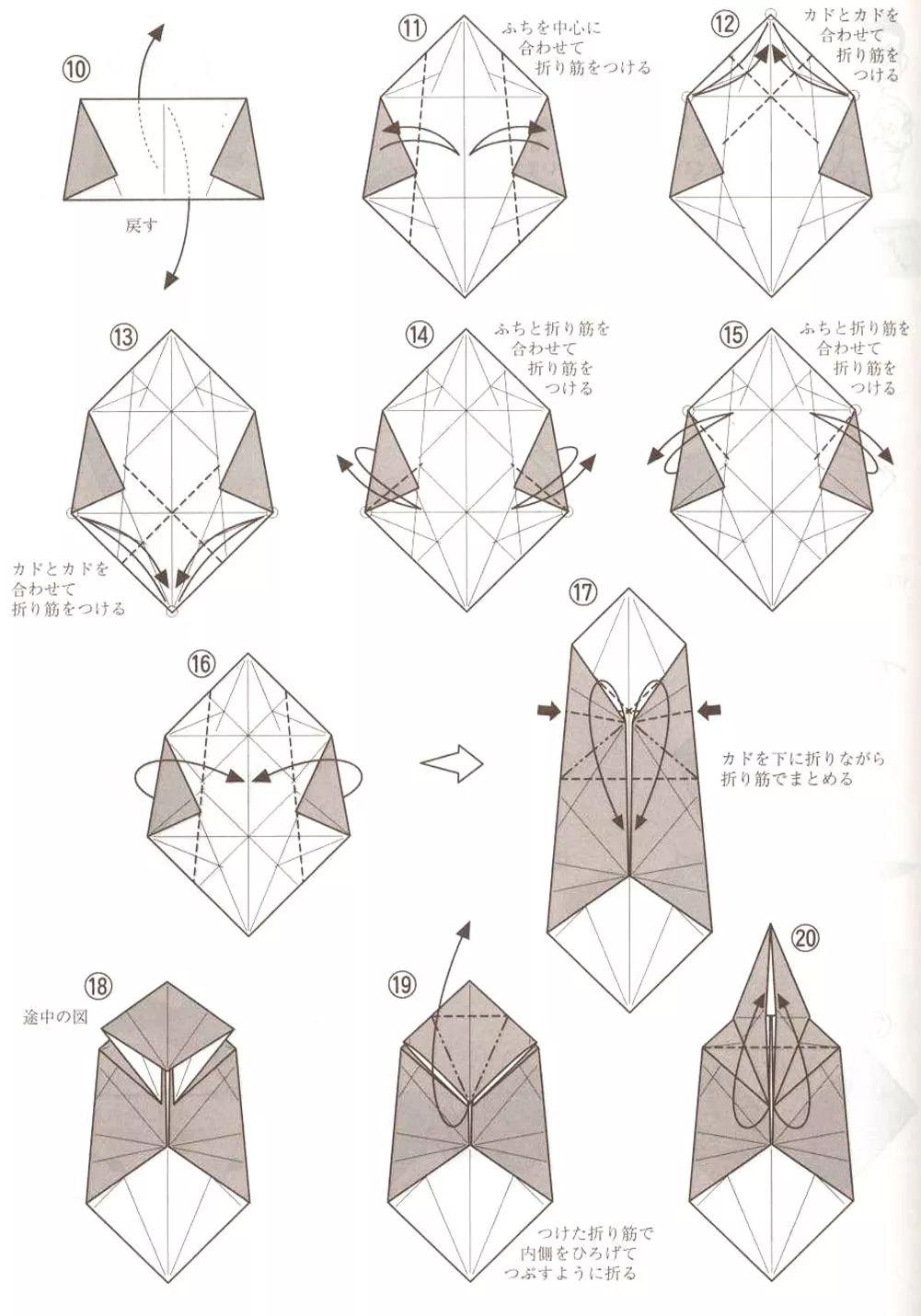 今天要折的异特龙是最凶猛的恐龙之一呢