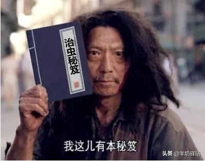 蚊虫叮咬预防,夏天蚊虫叮咬教你灭虫小姿势