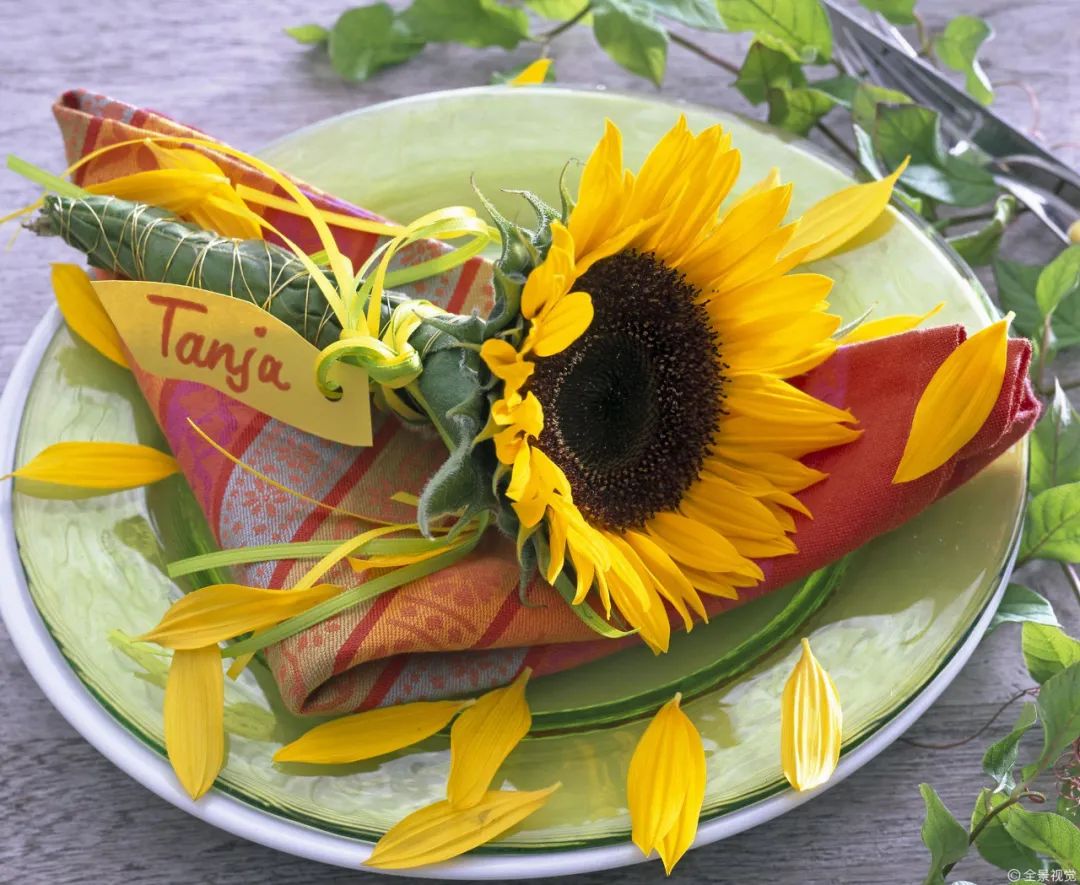 祝贺老师教师节快乐的图片,教师节给老师的玫瑰花语