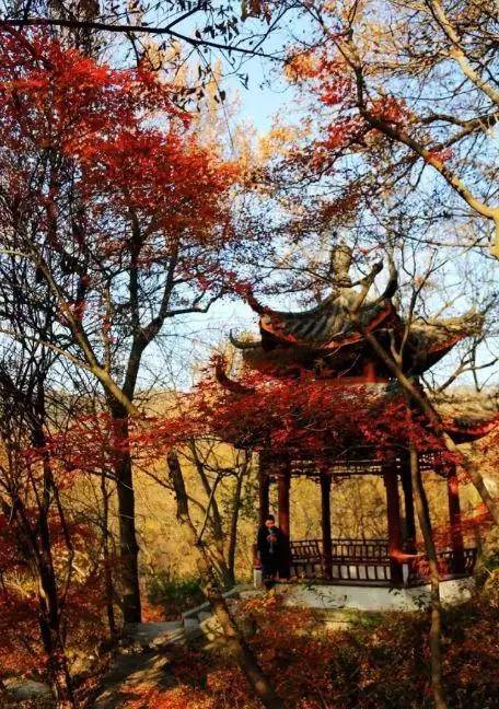 南京枫叶栖霞山什么时候看好看,南京栖霞山几月最红
