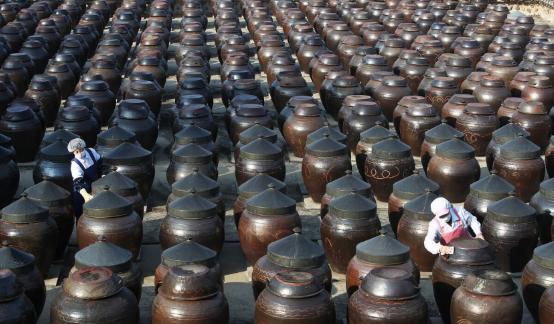 一棵白菜一百块，韩国白菜成钻石，网友：都这样了还不进口