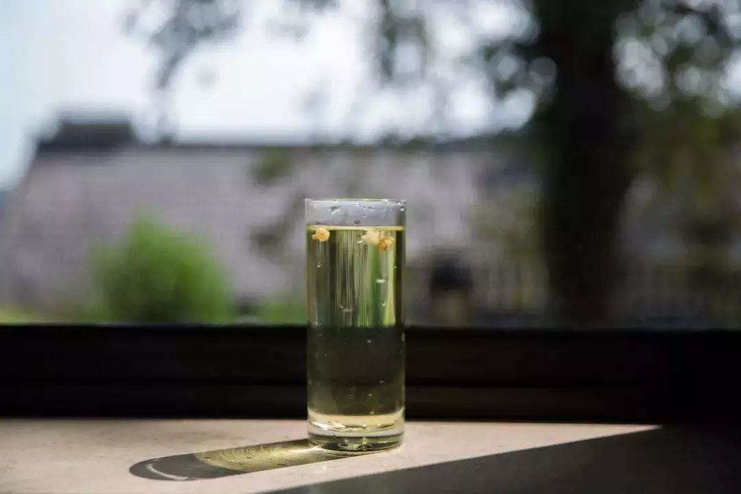 花港一楼茶楼,花港公园一元早茶