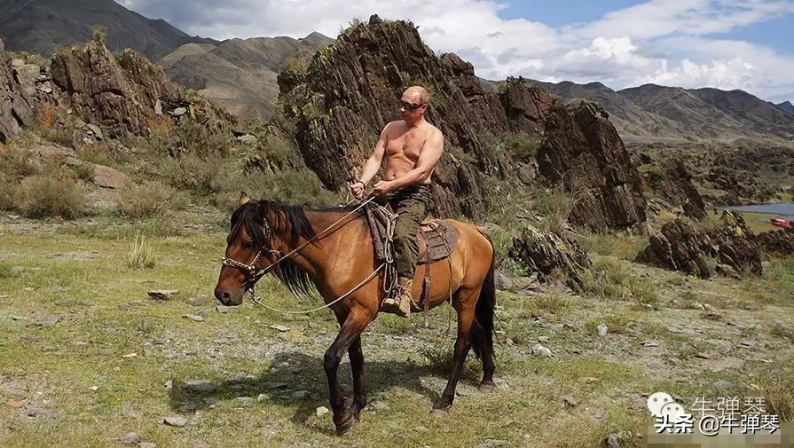 普京最近几天的新闻,普京最近干的几件大事