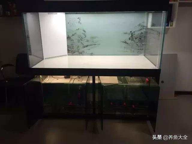 怎么样才可以做个美丽的鱼缸,给自己一个完美解释