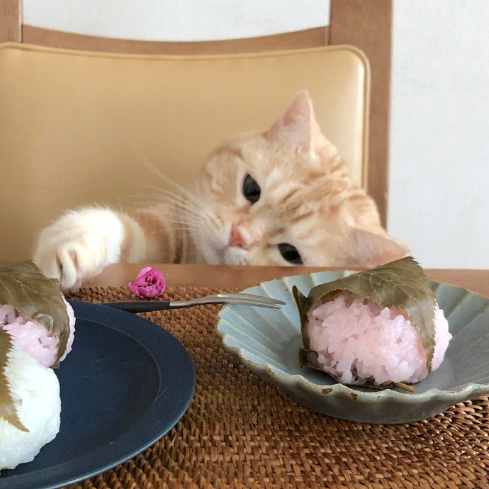 昌山留日说（57）中专毕业生缘何能考上日本最好的公立大学