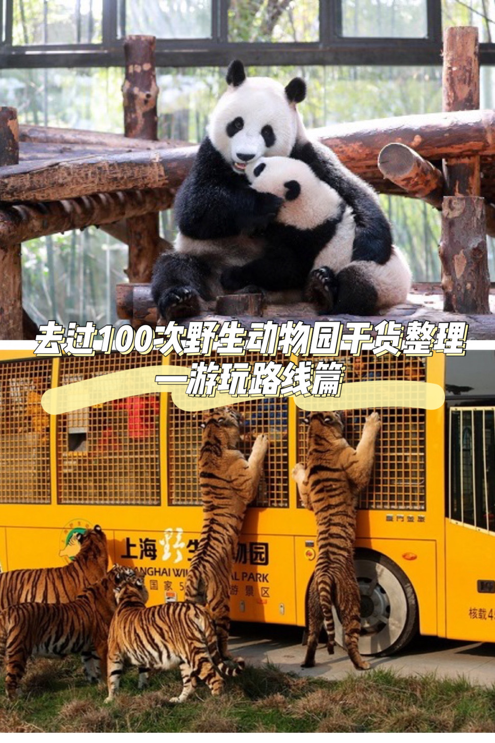 去过了100次上海野生动物园,干货整理游玩路线,建议收藏