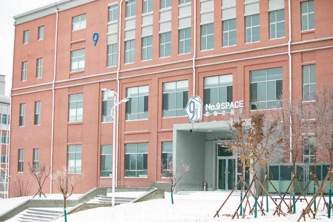 民办学校大连艺术学院全国排名,大连艺术学院辽宁排名