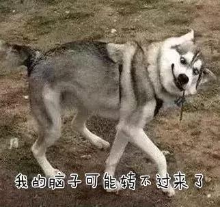 安全课陌生人敲门怎么办,有人敲门安全教育